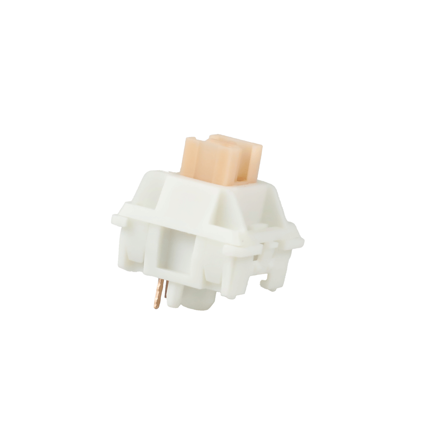 GF3A8398 - Cosmic Byte